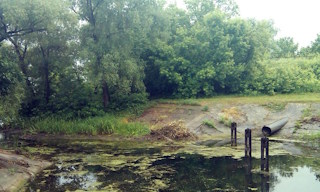 Экологические услуги от ПромМир-Кмн в Каменске-Уральском - стоимость от 12766 руб.