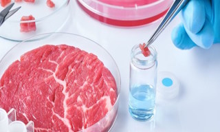 Лабораторный анализ пищевых продуктов по СанПиН в Каменске-Уральском в октябре
