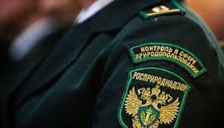 Подготовка к проверке Росприроднадзора в Каменске-Уральском от ПромМир-Кмн, стоимость услуги от 21276 руб.